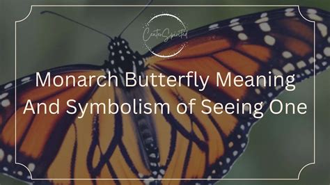 brown butterfly meaning in the bible|monarch butterfly meaning in the bible.